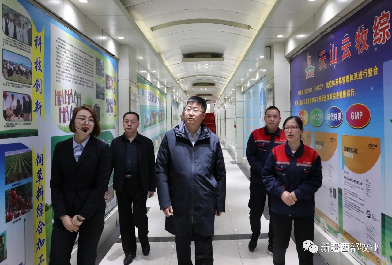 八師石河子市黨委常委、八師副師長趙日強到天山云牧公司調(diào)研